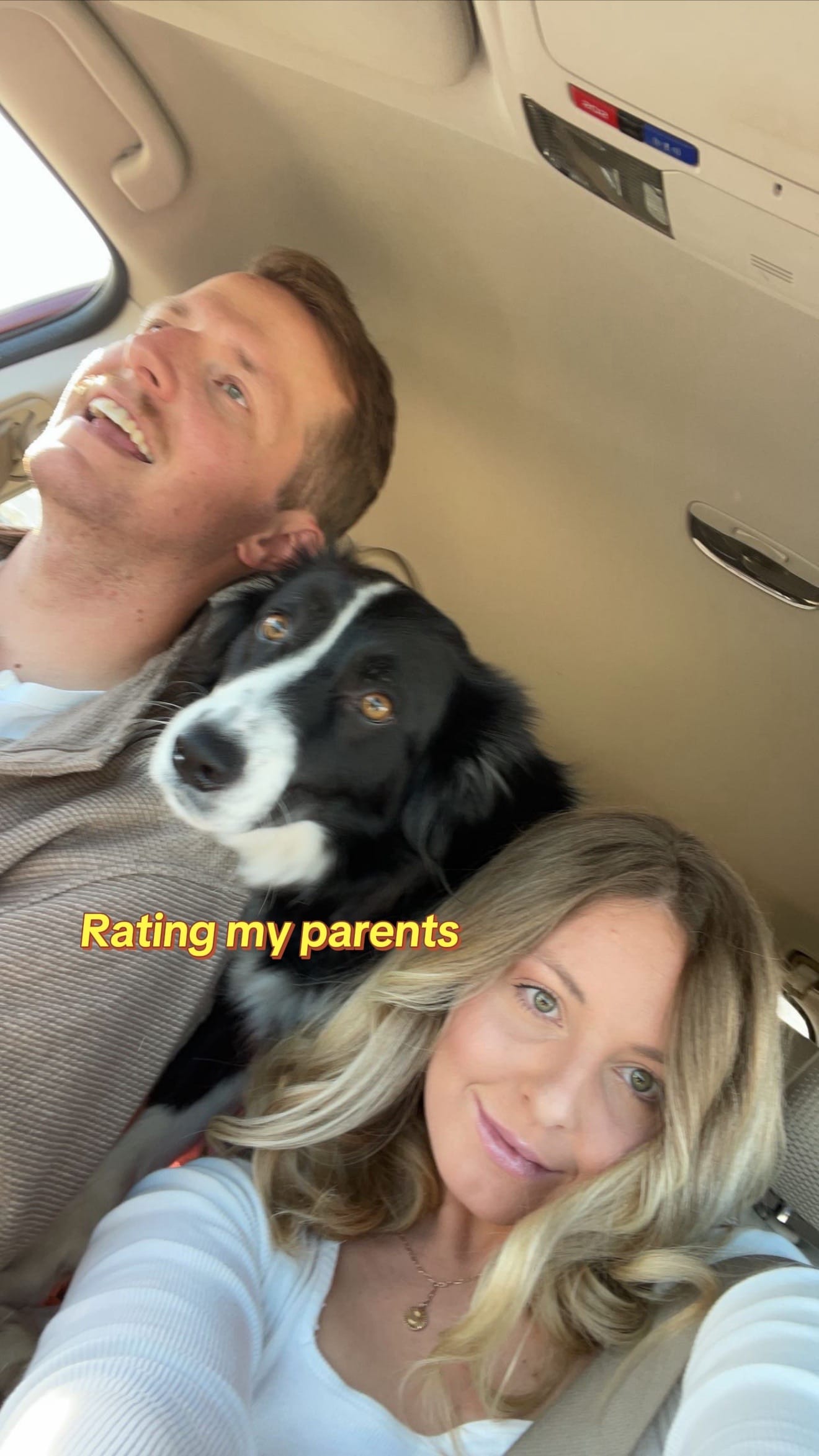 Post 3 by Clara Scholtz on TikTok (video)