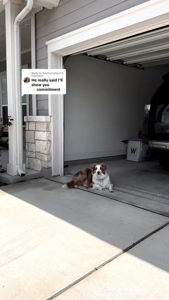 Post 9 by Jade Beerman on TikTok (video)