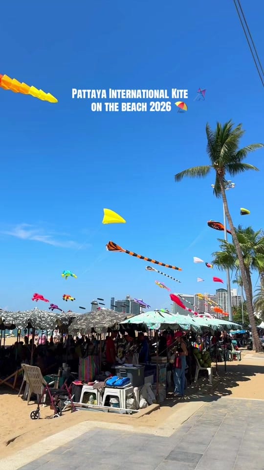 Post 1 by Ppia 🌻🇺🇸 (293K) on TikTok (video)