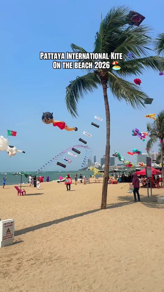 Post 2 by Ppia 🌻🇺🇸 (293K) on TikTok (video)