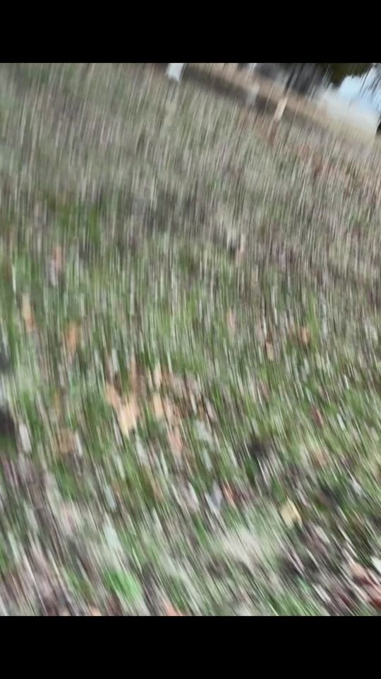 Post 2 by Regan Jill on TikTok (video)