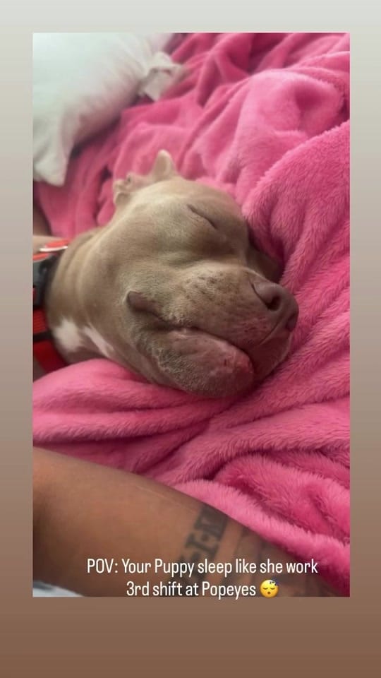 Post 1 by HOUSTON NAIL TECH on TikTok (video)