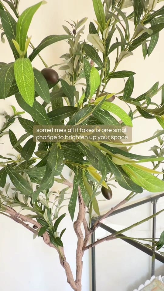 Post 3 by Anji on TikTok (video)