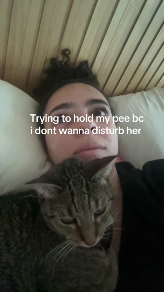 Post 1 by Catalixia on TikTok (video)