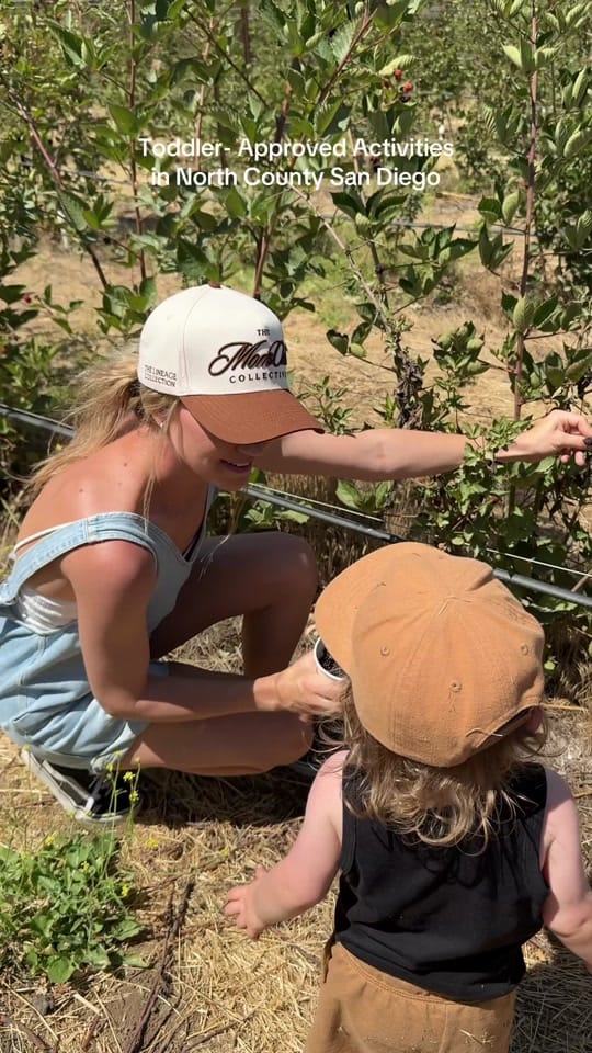 Post 1 by Jill Anne | First-Time Mom on TikTok (video)