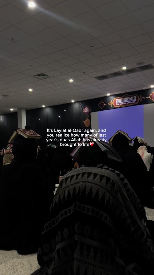 Post 5 by Noor Faraj on TikTok (video)