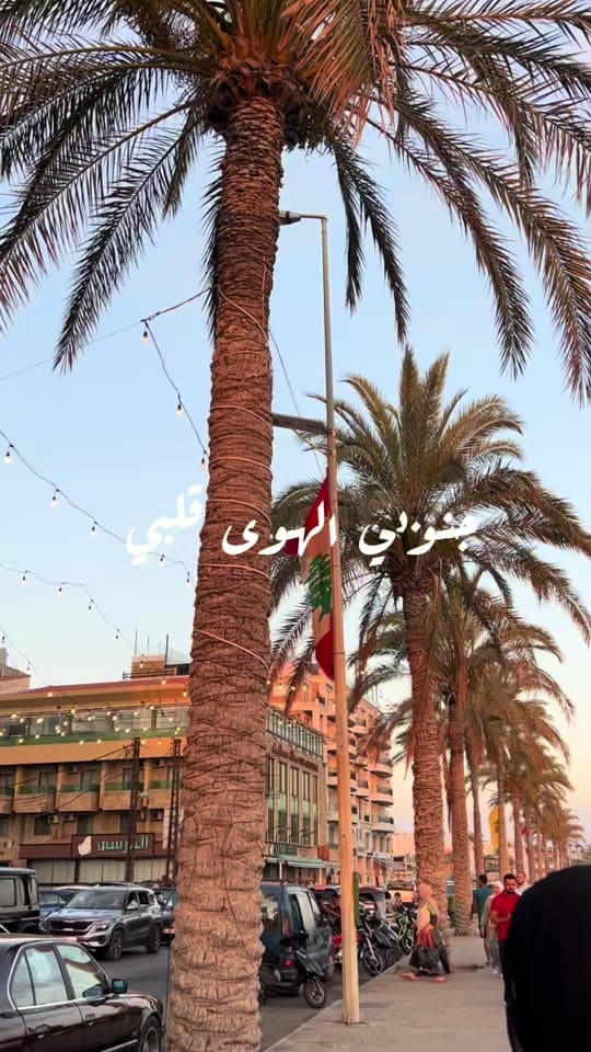 Post 8 by Noor Faraj on TikTok (video)