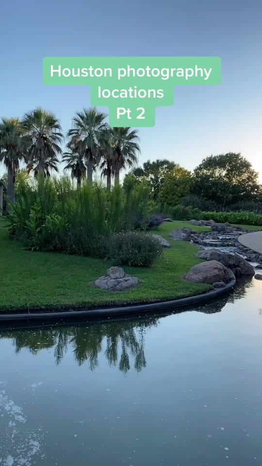 Post 7 by througherimage on TikTok (video)
