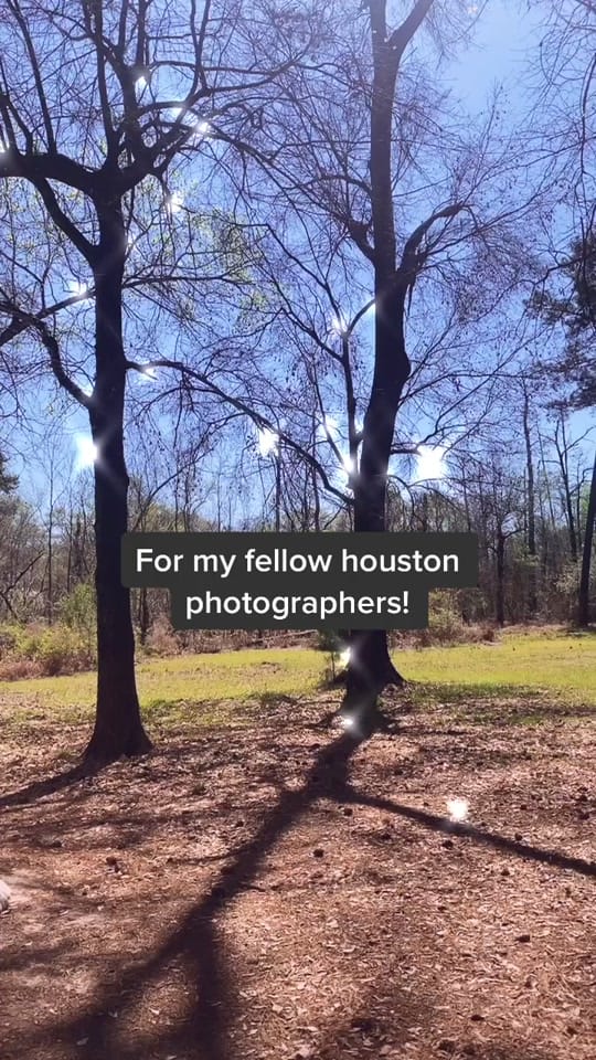 Post 3 by througherimage on TikTok (video)
