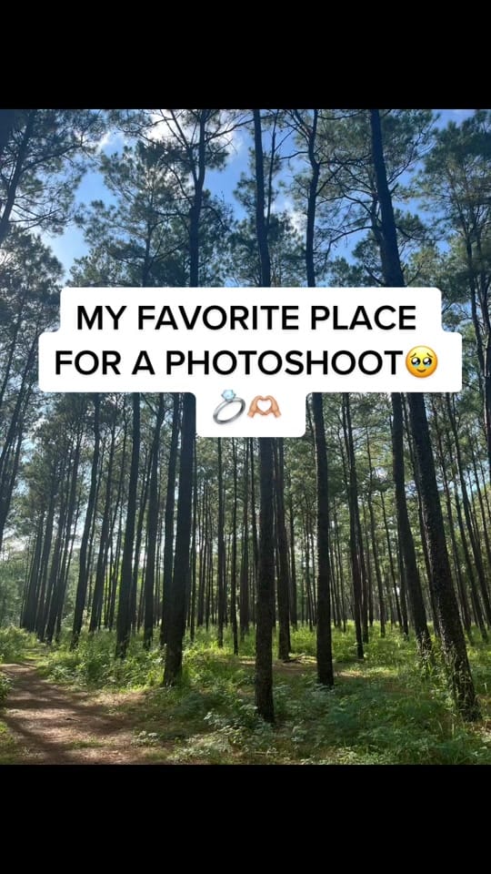 Post 1 by througherimage on TikTok (video)