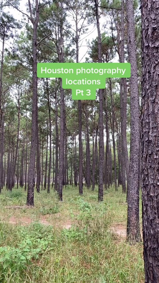 Post 6 by througherimage on TikTok (video)