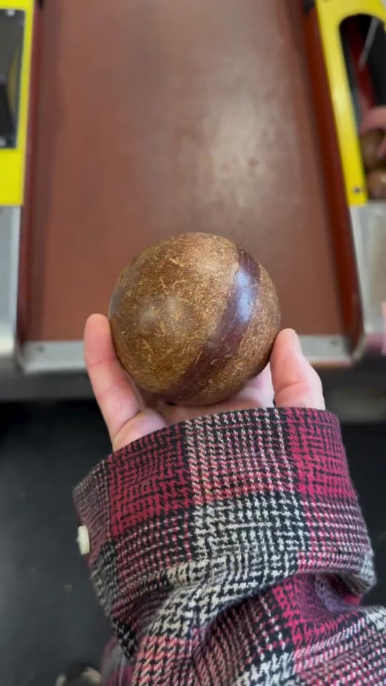 Post 4 by midwest.molly on TikTok (video)