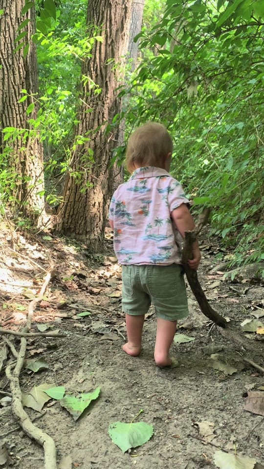 Post 5 by midwest.molly on TikTok (video)