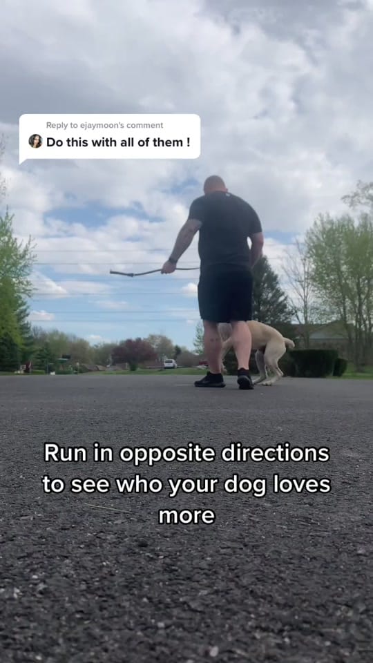 Post 10 by midwest.molly on TikTok (video)