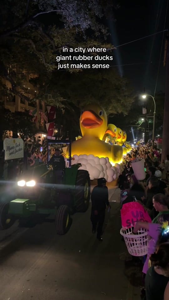 Post 5 by Meagan | New Orleans on TikTok (video)