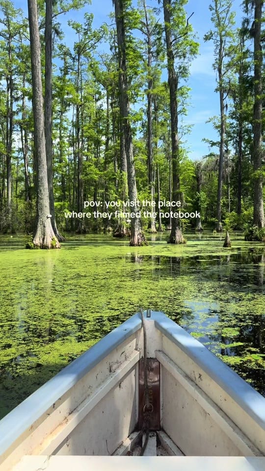 Post 10 by sandra lee ♡ on TikTok (video)