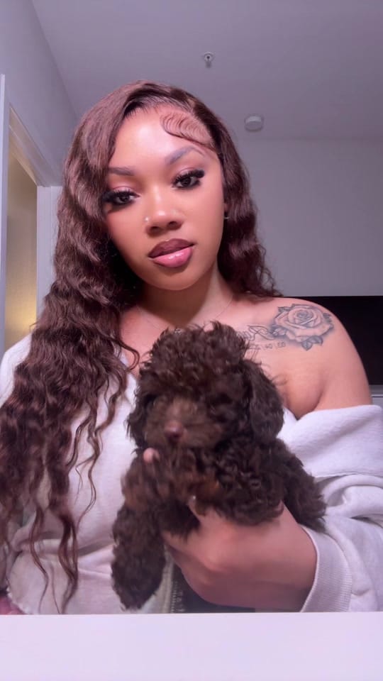 Post 5 by monique on TikTok (video)