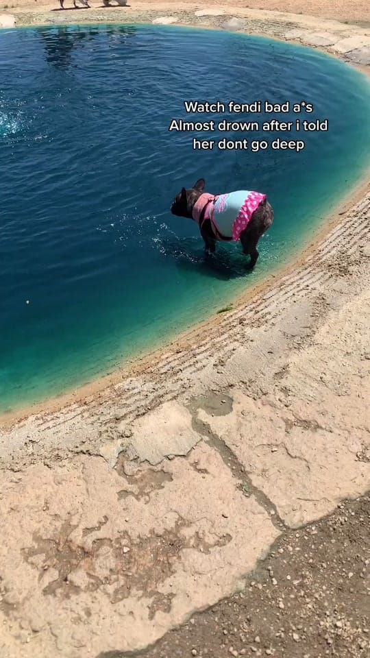 Post 10 by Bianca Linares | HTX Creator on TikTok (video)
