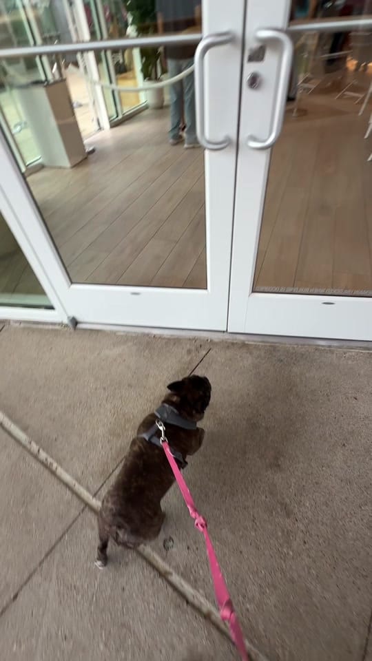 Post 5 by Bianca Linares | HTX Creator on TikTok (video)