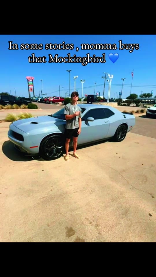 Post 9 by Skylar🖤⚡️ on TikTok (video)