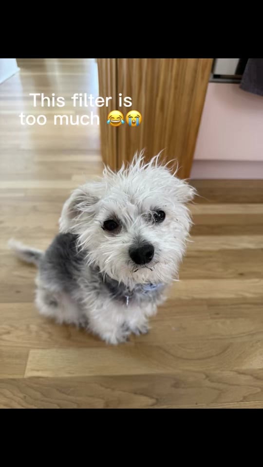 Post 2 by Stephanie May on TikTok (video)