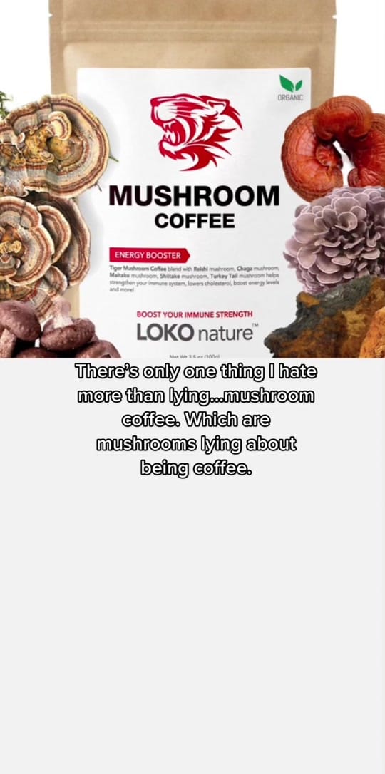 Post 10 by Stephanie May on TikTok (video)