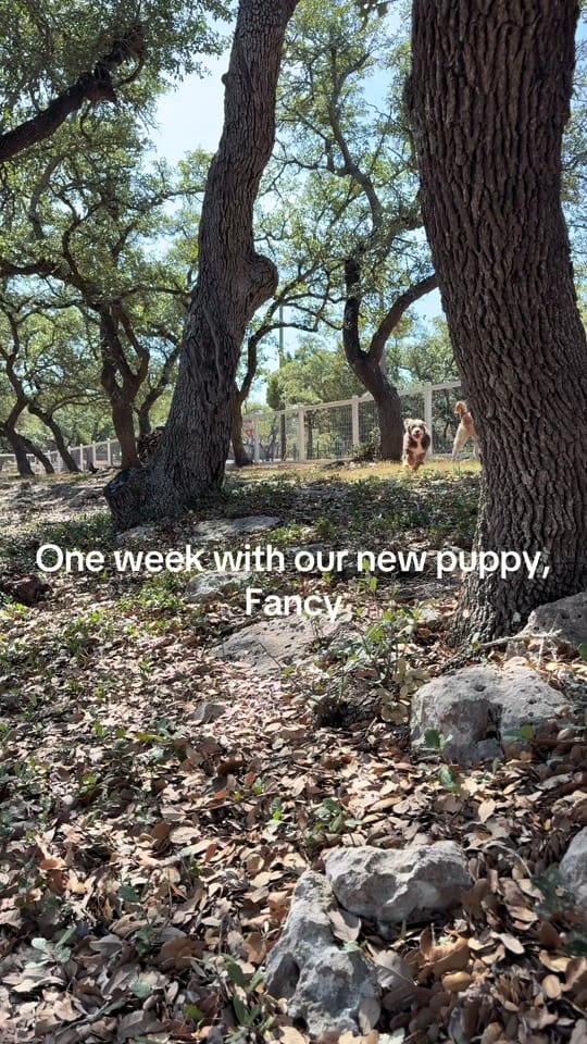 Post 4 by Shannon Worley on TikTok (video)