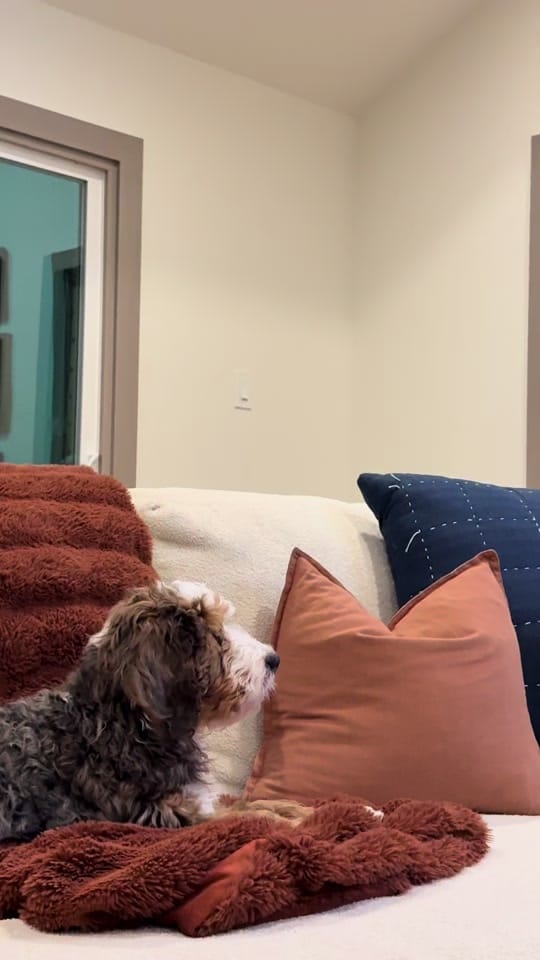 Post 3 by Shannon Worley on TikTok (video)