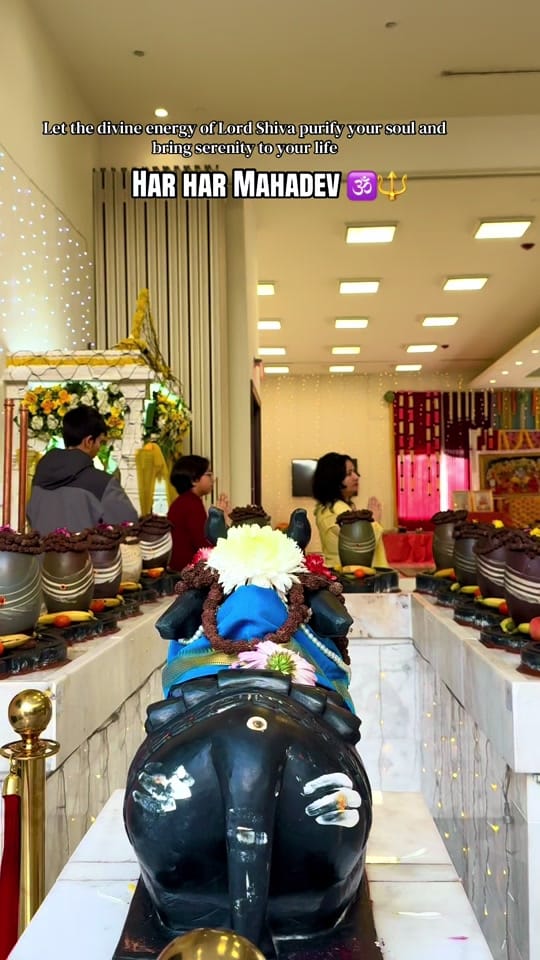 Post 4 by Mr.Alis Adhikari 🇺🇸 on TikTok (video)