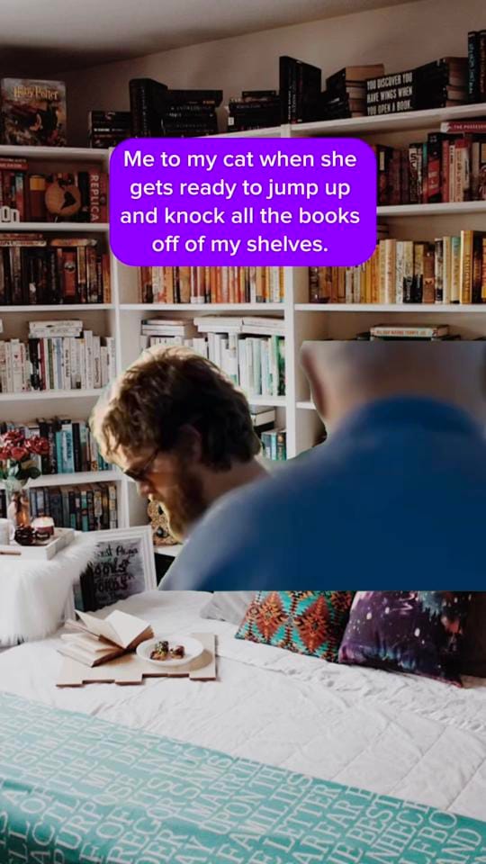 Post 6 by 🦇🗡️Jesslyn Owen✨📚 on TikTok (video)
