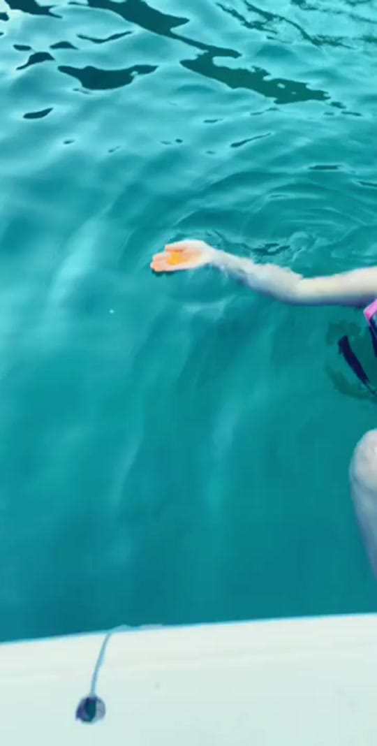 Post 5 by Johanna Aguirre on TikTok (video)