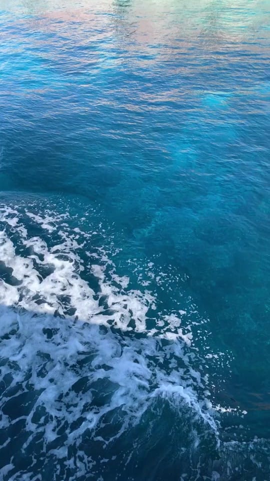 Post 7 by Johanna Aguirre on TikTok (video)