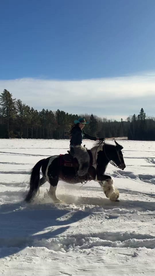 Post 5 by Samantha Dawn || Equine Photo on TikTok (video)
