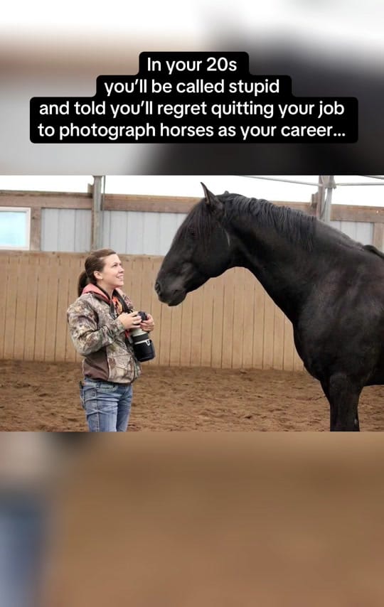 Post 6 by Samantha Dawn || Equine Photo on TikTok (video)