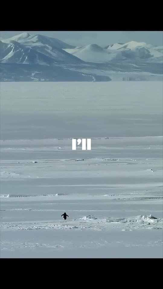 Post 1 by avstn.music on TikTok (video)