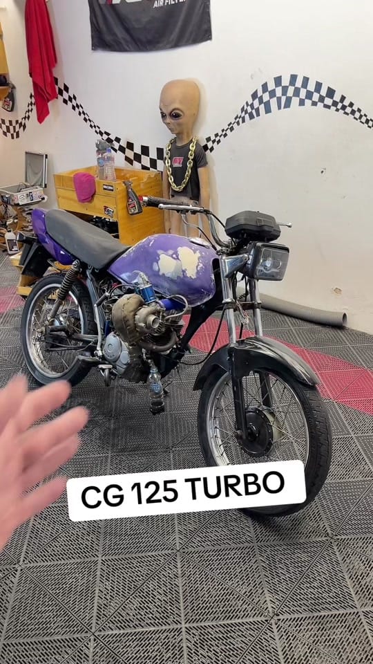 Post 5 by Theo Amaral on TikTok (video)