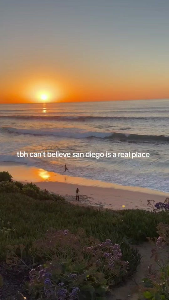 Post 2 by Ashleynicole on TikTok (video)