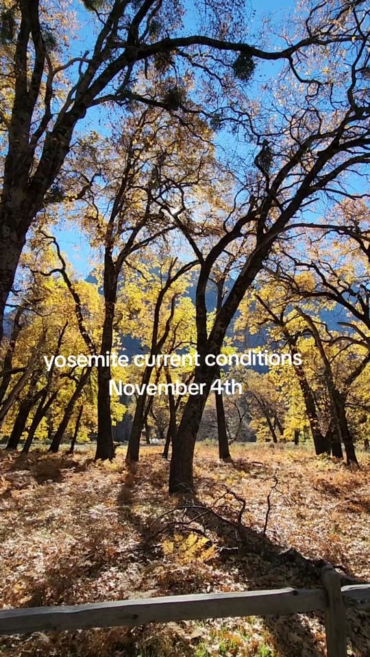 Post 4 by Ashleynicole on TikTok (video)