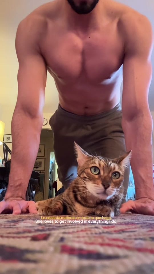 Post 4 by FELIPE on TikTok (video)