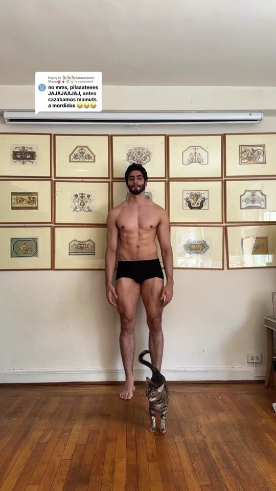 Post 5 by FELIPE on TikTok (video)