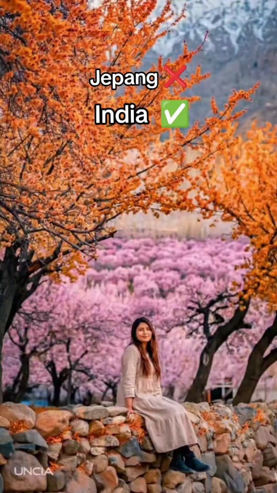 Post 5 by Soun ImpacT Tour & Travels on TikTok (video)