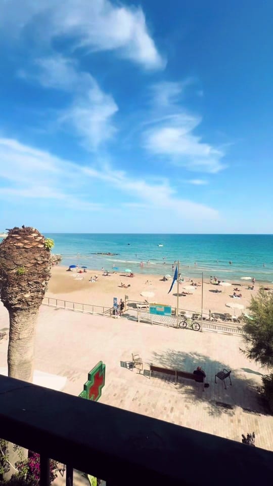 Post 5 by Cille Rader on TikTok (video)