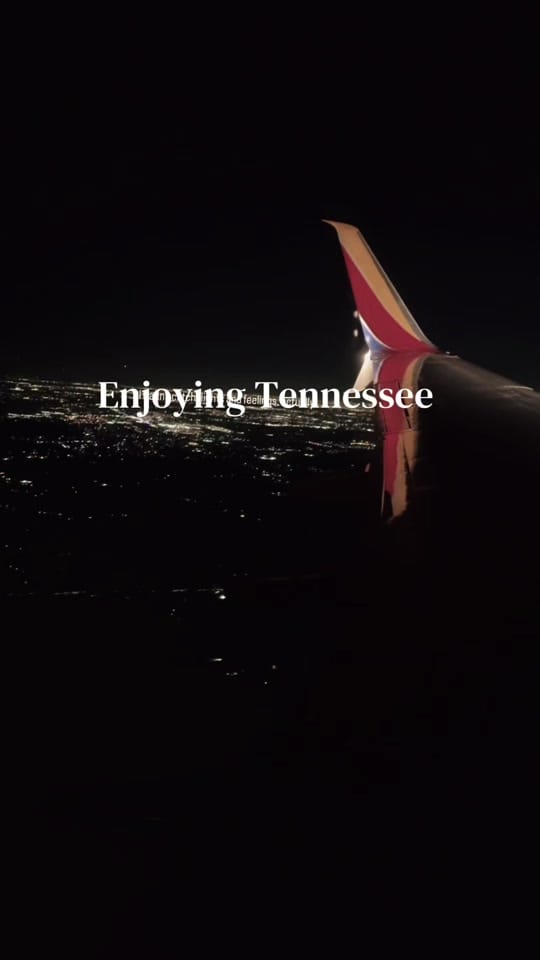 Post 6 by Quannie Camille on TikTok (video)