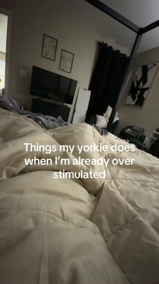 Post 5 by Quannie Camille on TikTok (video)