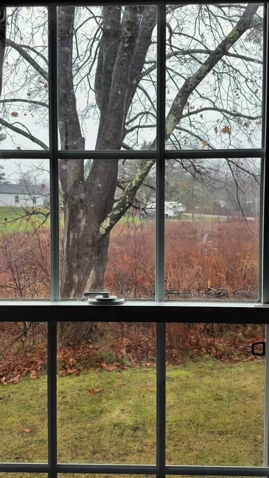 Post 2 by josie on TikTok (video)