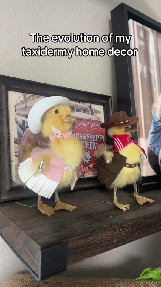 Post 10 by kenziekay_2 on TikTok (video)