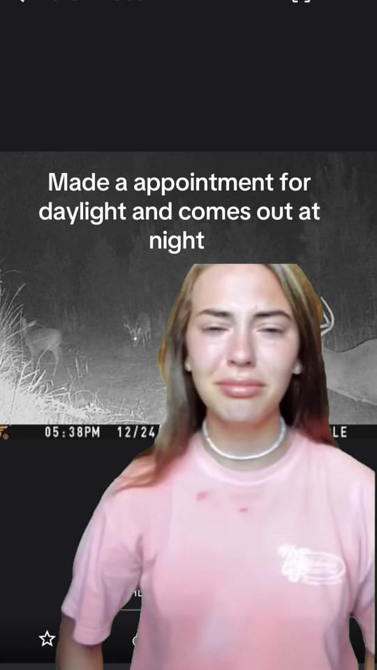 Post 7 by Heavy equip on TikTok (video)