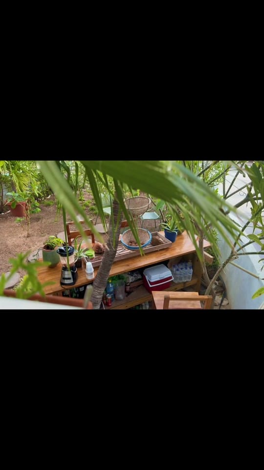 Post 7 by Tamara Eseoghene on TikTok (video)