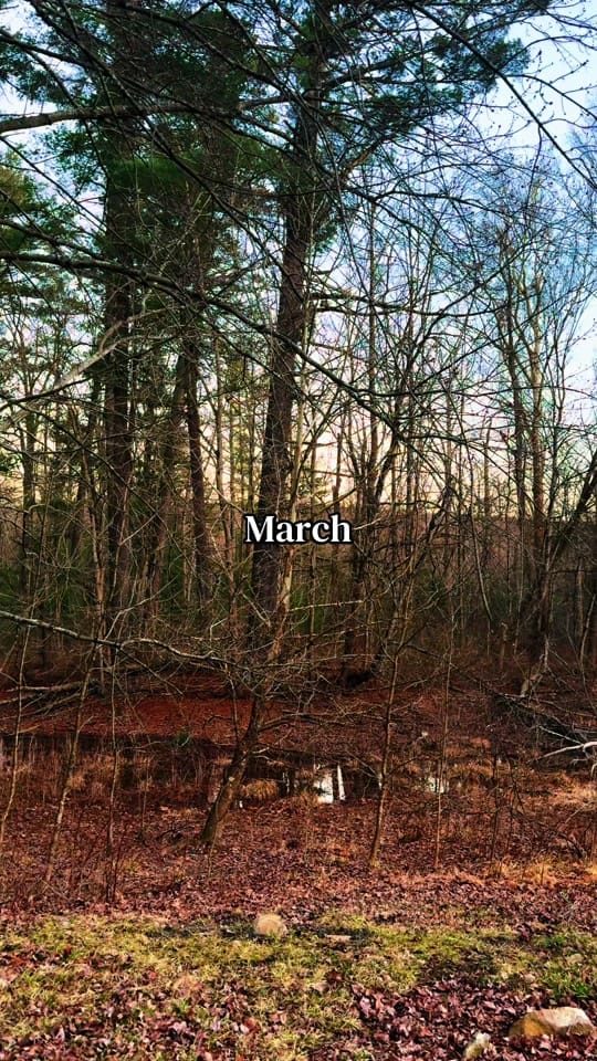 Post 2 by ᯽❀ Molly ❀᯽ on TikTok (video)