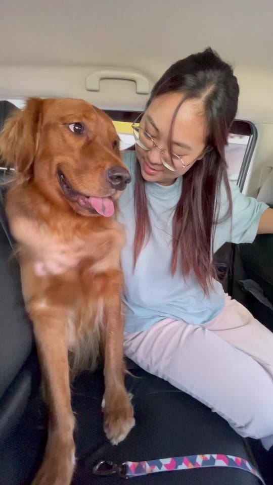 Post 8 by Kyar Pan on TikTok (video)